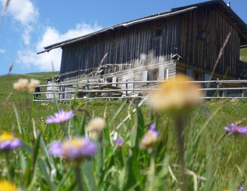 Apartmán Bauernof Mittermueller Feldthurns Exteriér fotografie