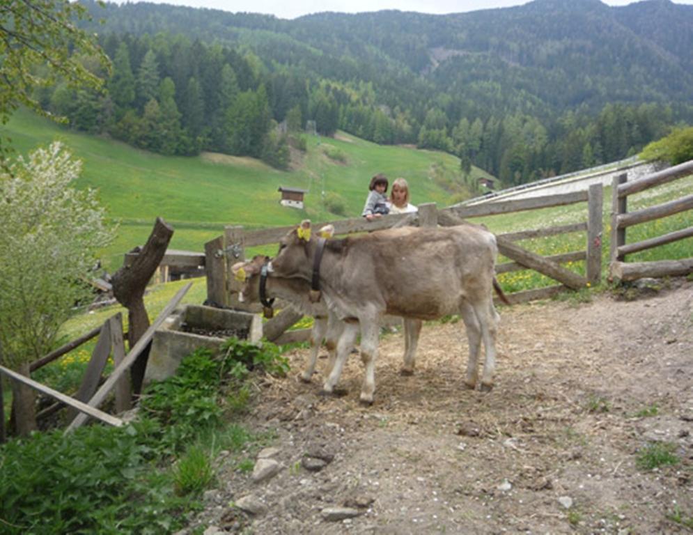 Apartmán Bauernof Mittermueller Feldthurns Exteriér fotografie